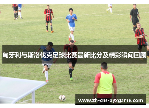 匈牙利与斯洛伐克足球比赛最新比分及精彩瞬间回顾